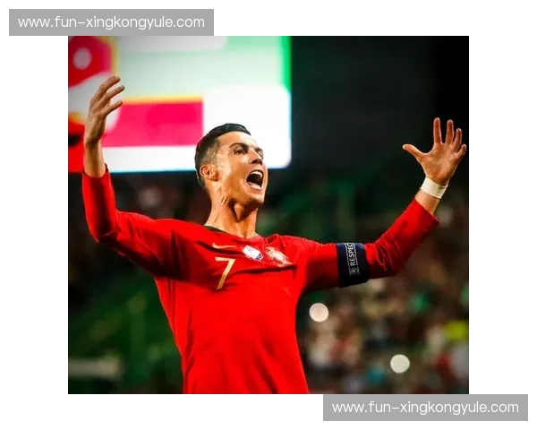 葡萄牙vs德国：足球史诗的璀璨瞬间，激情碰撞的绿茵绝唱